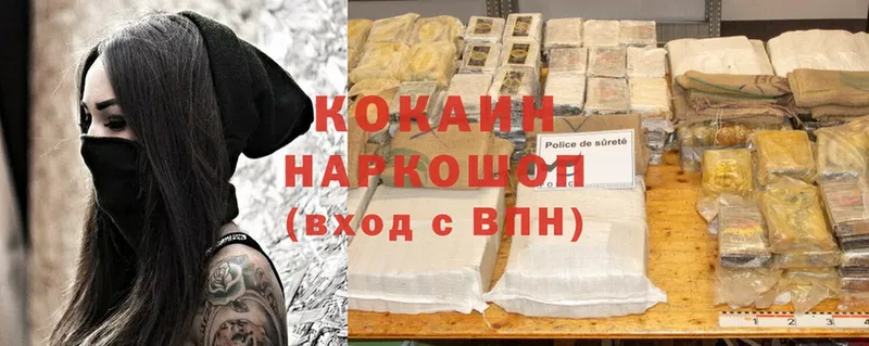 Cocaine FishScale  закладки  Нестеров 